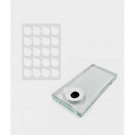 PACK DE PEGATINAS PARA PEGAMENTO