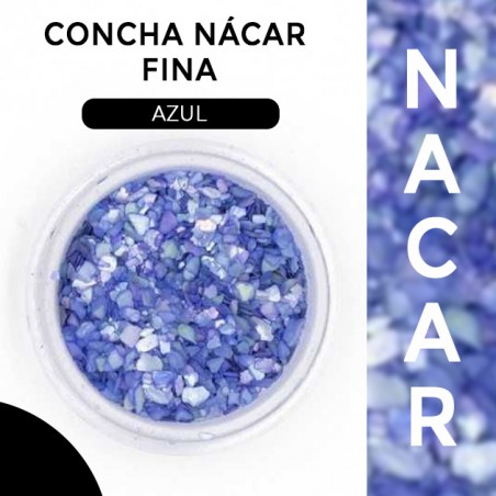 Concha Nácar Fina color Azul